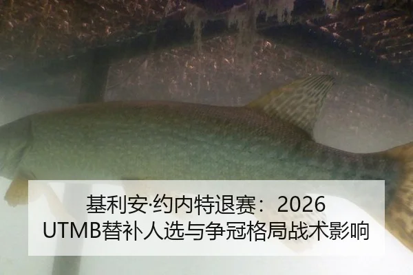 基利安·约内特退赛：2026 UTMB替补人选与争冠格局战术影响