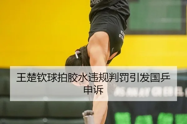 王楚钦球拍胶水违规判罚引发国乒申诉